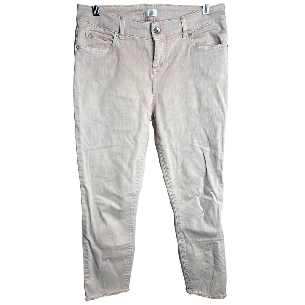 Ecru Size 4 Ivory Pink Skinny Leg Stretch Pants